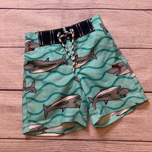 Gymboree Baby Boys Shark Swim Trunk 6-12 Months